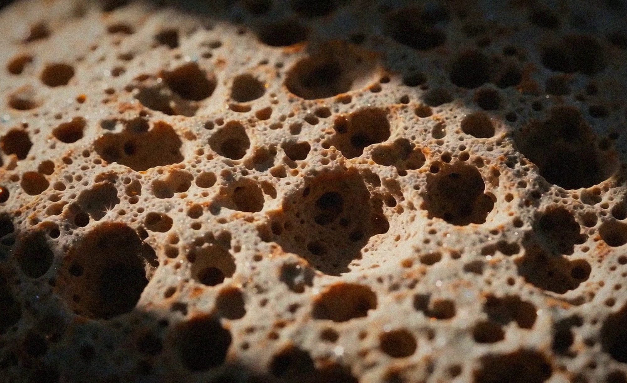 Aesop : Direction créative, production IA, montage & sound design